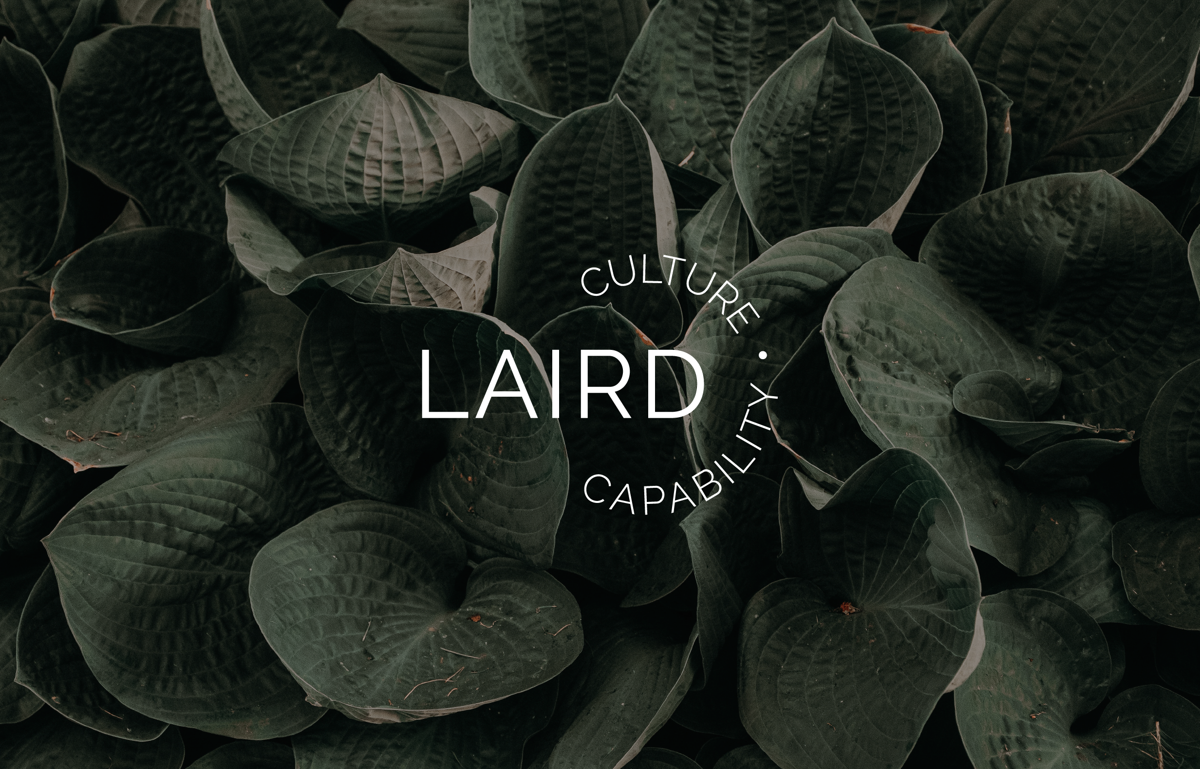 Laird